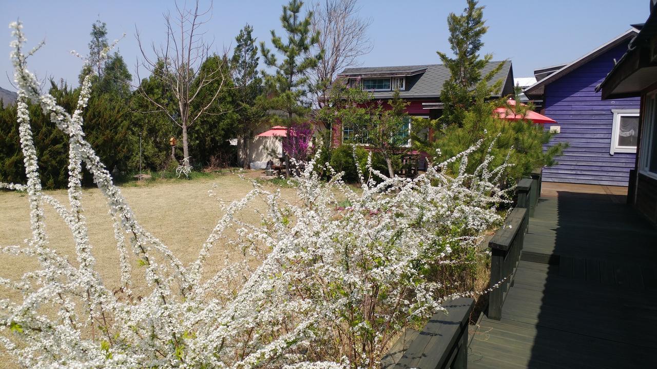 Villa Windflower à Gyeongju Extérieur photo